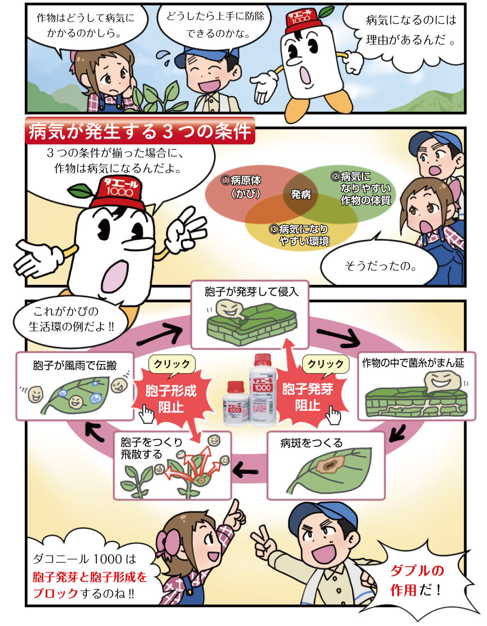 病気が発生する3つの条件「作物はどうして病気にかかるのかしら。」「どうしたら上手に防除できるのかな。」「病気になるのには理由があるんだ 。」「3つの条件が揃った場合に、作物は病気になるんだよ。」「そうだったの。「これがかびの生活環の例だよ!!」