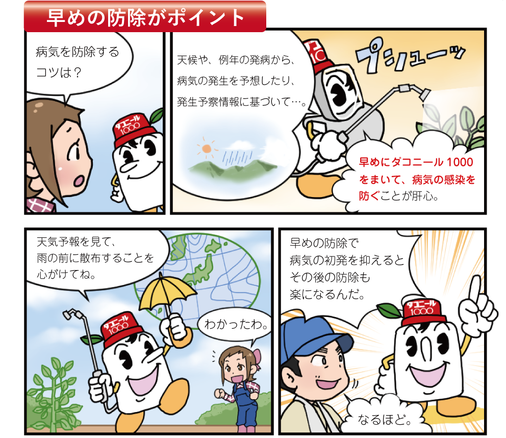 早めの防除がポイント「病気を防除するコツは?」「天候や、例年の発病から、発生予察情報に基づいて…。病気の発生を予想したり、防ぐをまいて、病気の感染を早めにダコニール1000ことが肝心。」「心がけてね。雨の前に散布することを天気予報を見て、」「わかったわ。」「楽になるんだ。その後の防除も病気の初発を抑えると早めの防除で」「なるほど。」