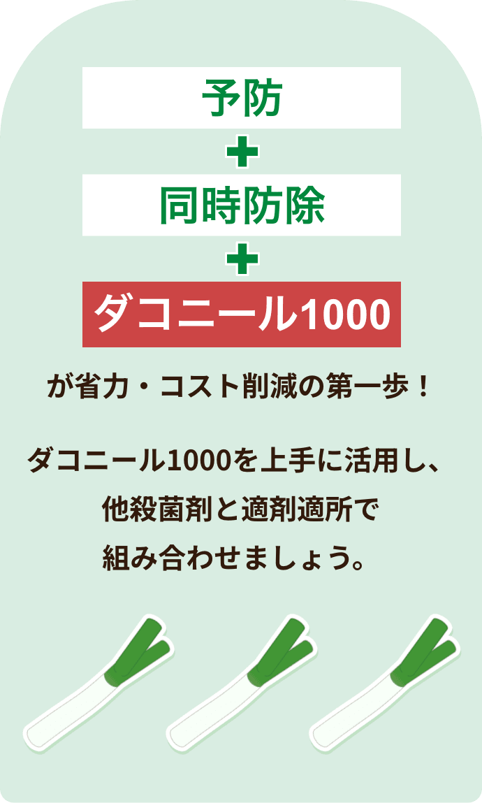 ねぎの病害と防除