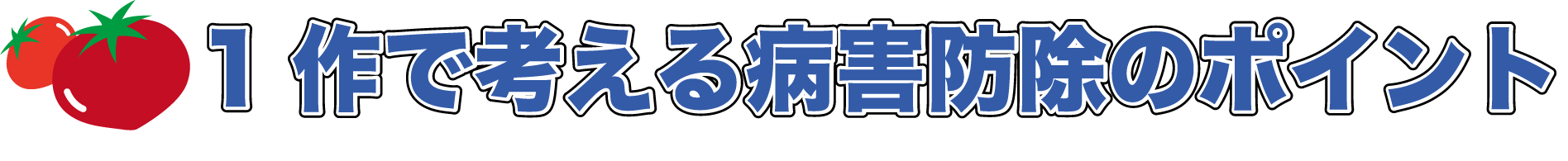 きゅうりの病害防除のポイント