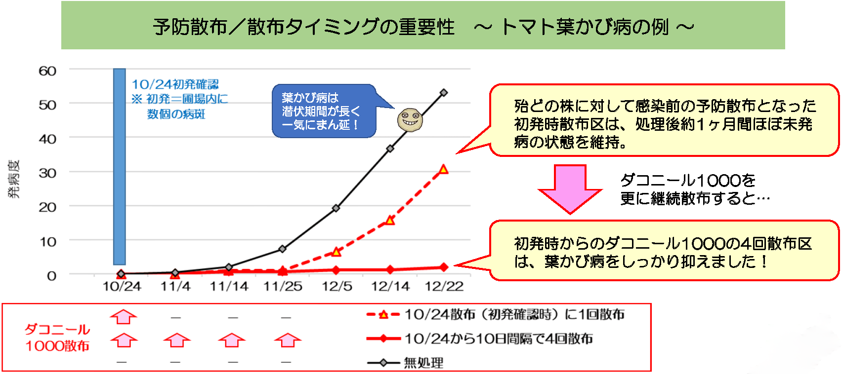 殆どの株に対して感染前の予防散布となった初発時散布区は、処理後約1ヶ月間ほぼ未発病の状態を維持。ダコニール1000を更に散布すると、初発時からのダコニール1000の4回散布区は、葉かび病をしっかり抑えました！