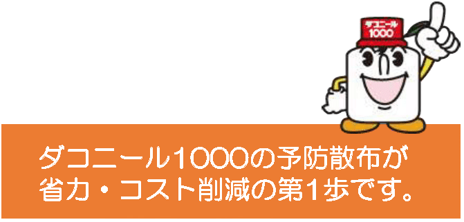 ダコニール1000の予防散布が省力・コスト削減の第1歩です。