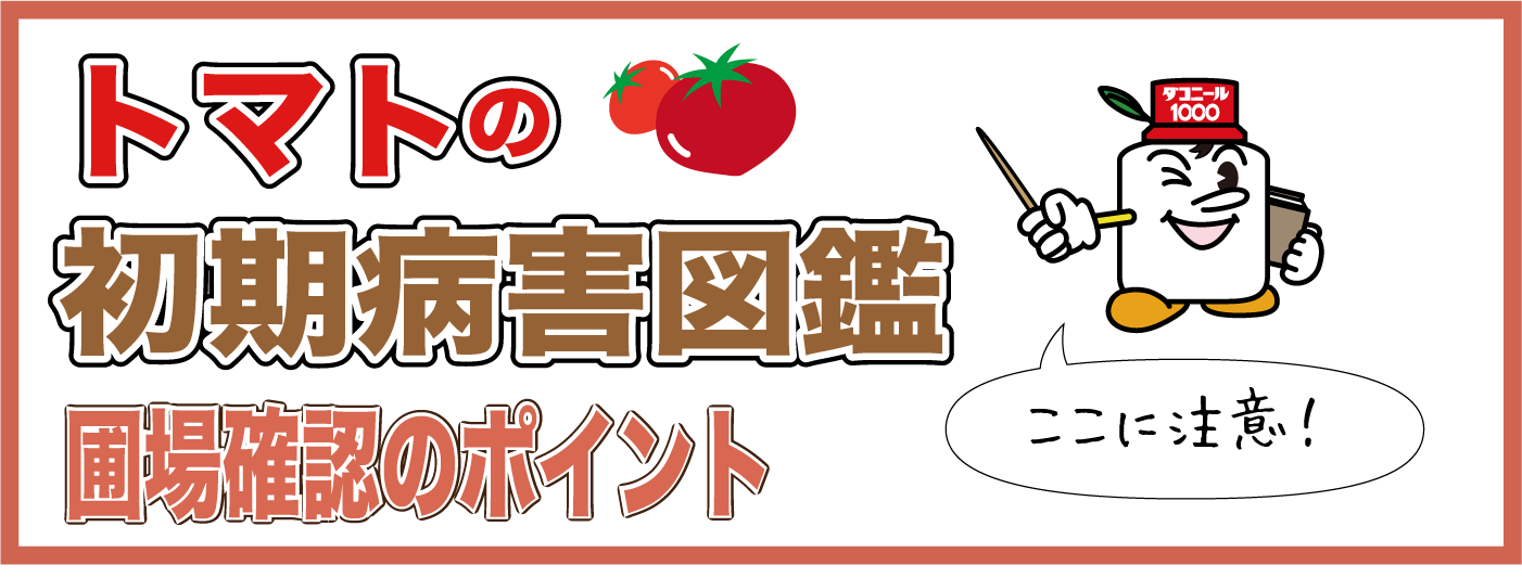 トマトの初期病害図鑑　圃場確認のポイント