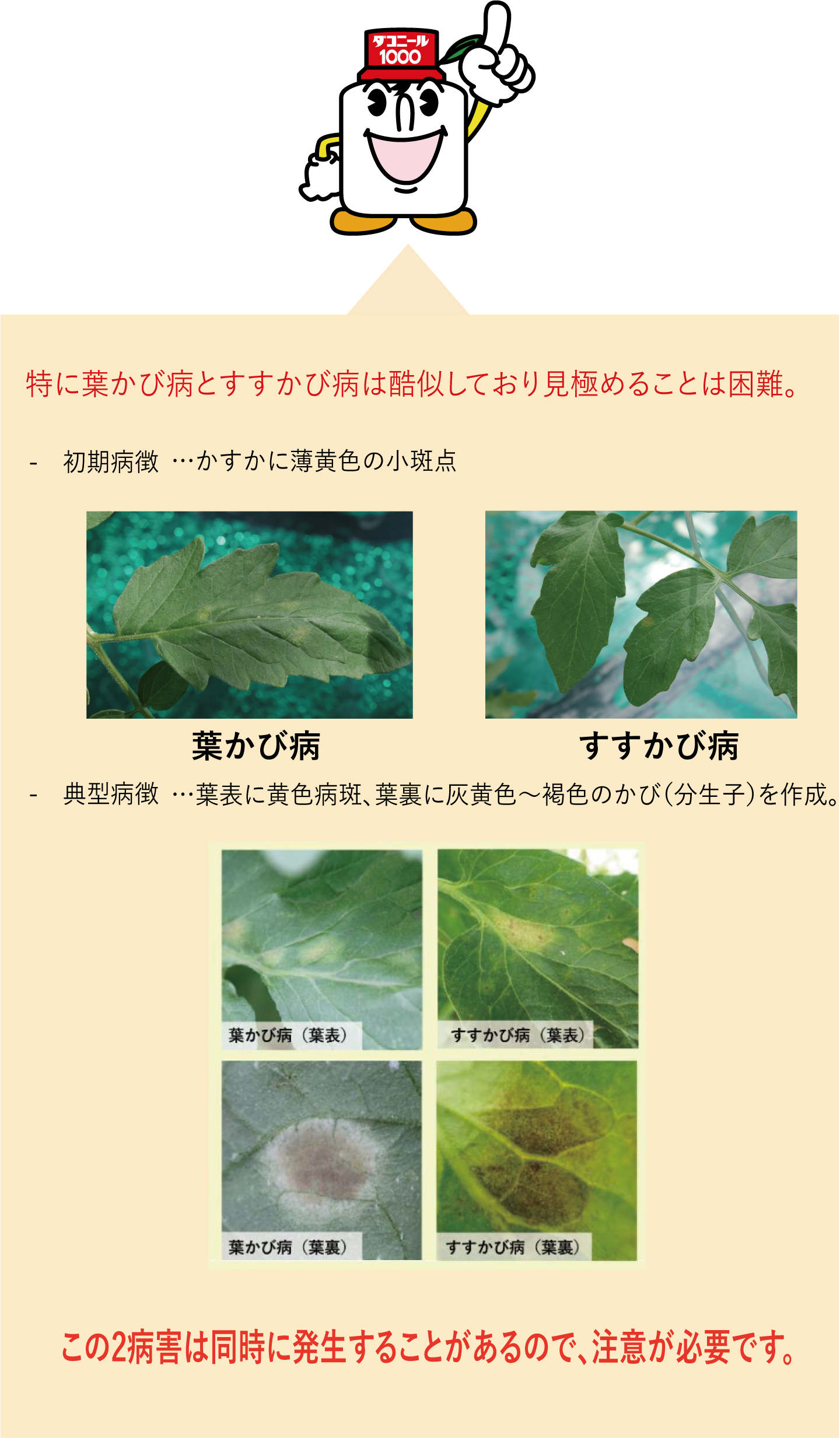 特に葉かび病とすすかび病は酷似しており見極めることは困難。