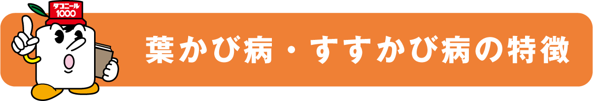 葉かび病・すすかび病の特徴