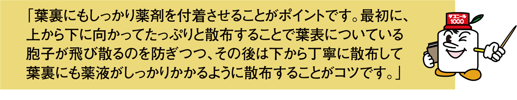 「葉裏にもしっかり薬剤を付着させることがポイントです。最初に、上から下に向かってたっぷりと散布することで葉表についている胞子が飛び散るのを防ぎつつ、その後は下から丁寧に散布して葉裏にも薬液がしっかりかかるように散布することがコツです。」