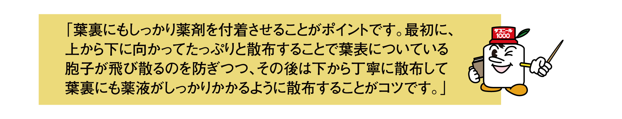 「葉裏にもしっかり薬剤を付着させることがポイントです。最初に、上から下に向かってたっぷりと散布することで葉表についている胞子が飛び散るのを防ぎつつ、その後は下から丁寧に散布して葉裏にも薬液がしっかりかかるように散布することがコツです。」