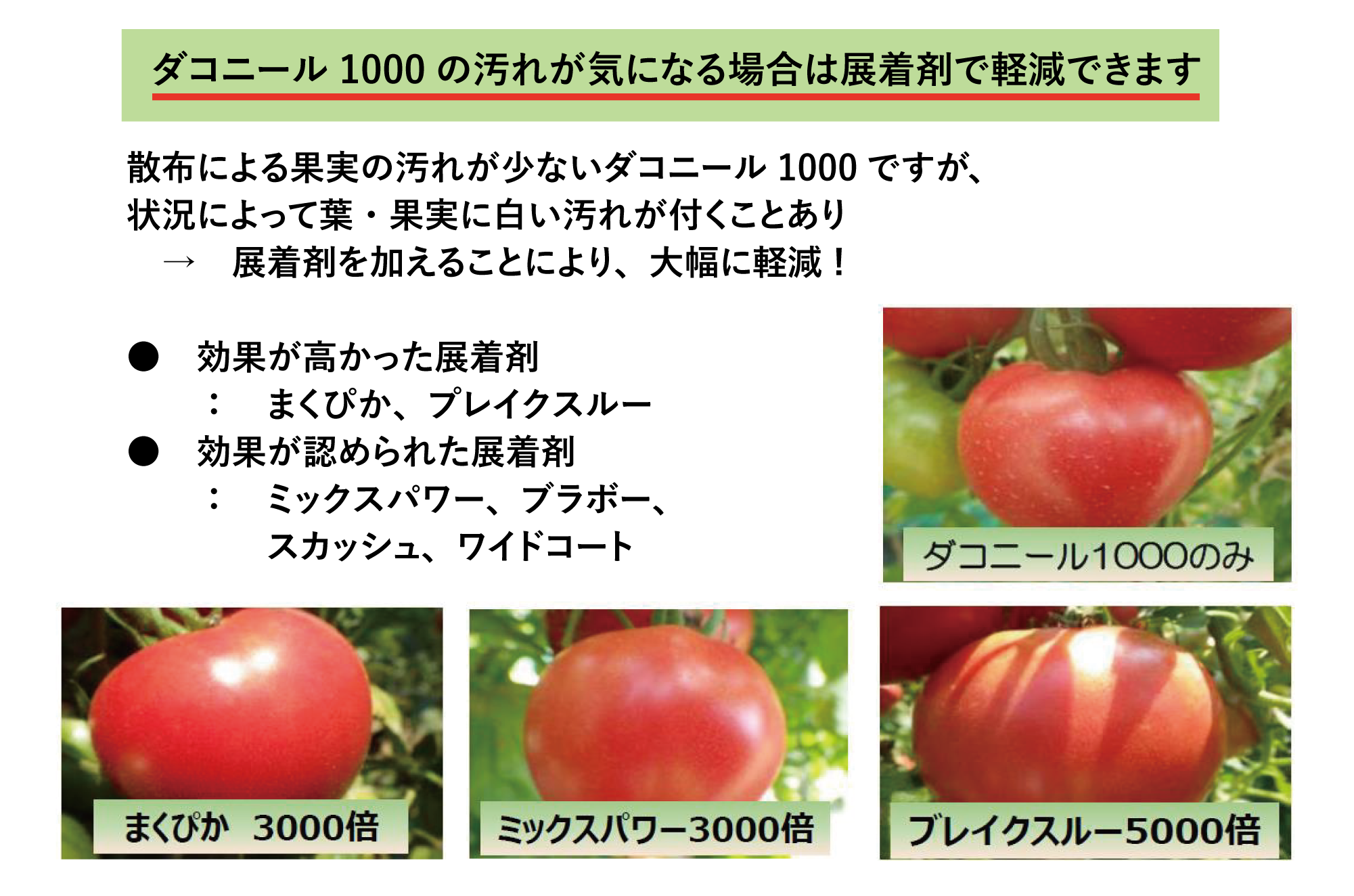 ダコニール1000の汚れが気になる場合は展着剤で軽減できます　散布による果実の汚れが少ないダコニール1000ですが、状況によって葉・果実に白い汚れが付くことあり　→　展着剤を加えることにより、大幅に軽減 !●　効果が高かった展着剤：まくぴか、プレイクスルー　●　効果が認められた展着剤：ミックスパワー、ブラボー、スカッシュ、ワイドコート