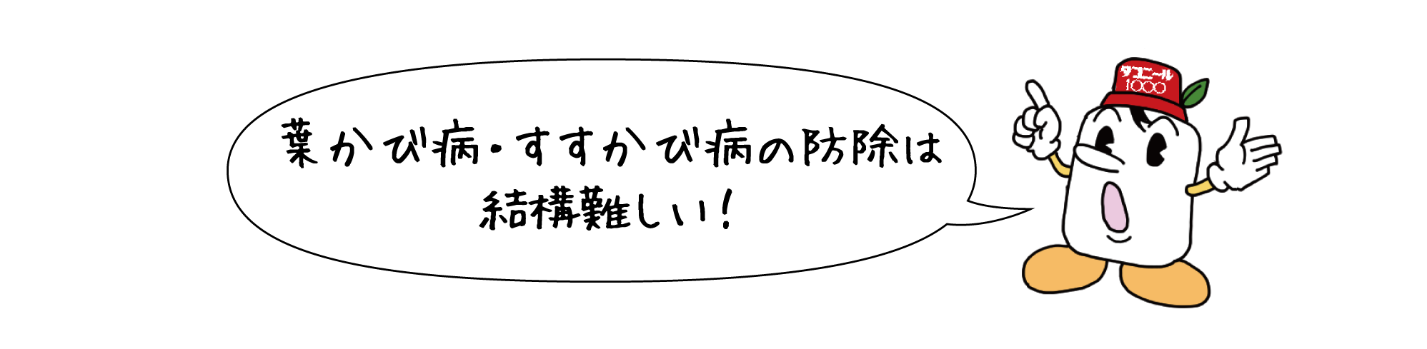 葉かび病・すすかび病の防除は結構難しい！