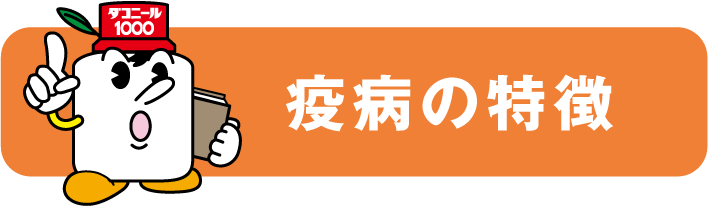 葉かび病・すすかび病の特徴