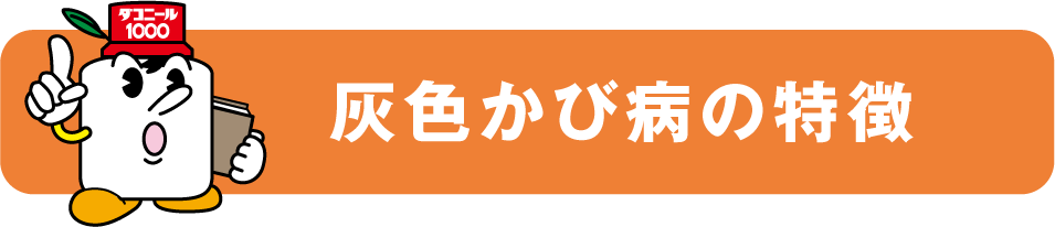 葉かび病・すすかび病の特徴