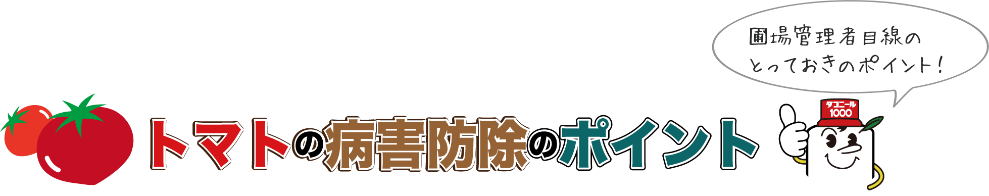 トマトの病害防除のポイント